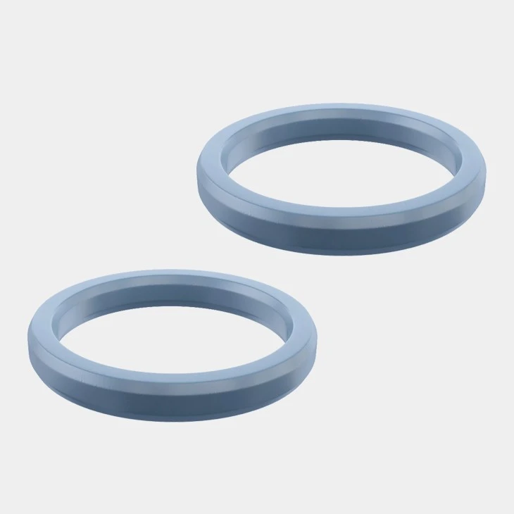 Sealing Ring Gasket-AYA