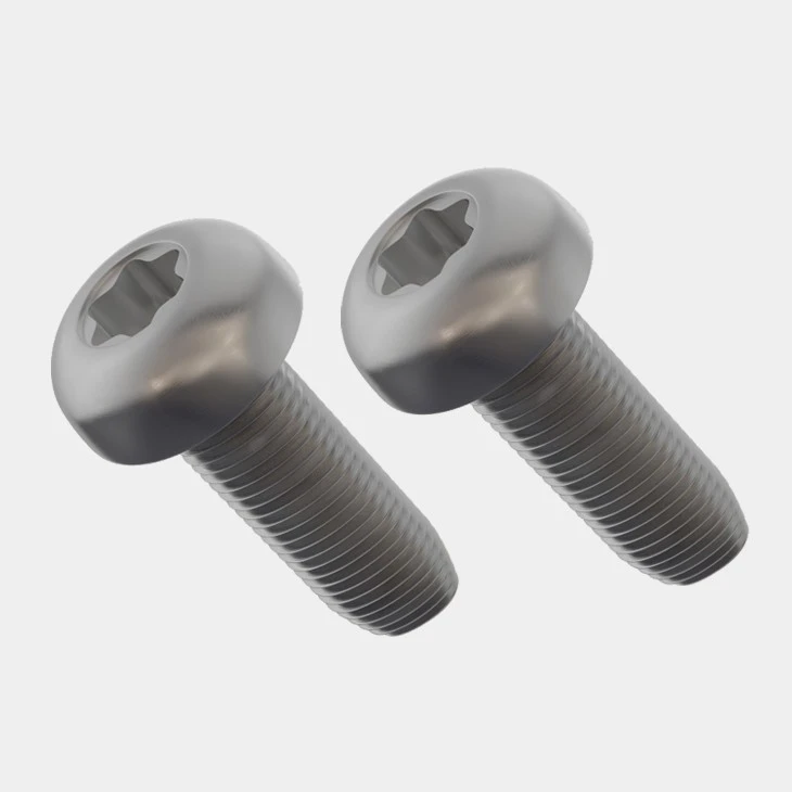 Stainless Steel Thread Forming Screw-AYA